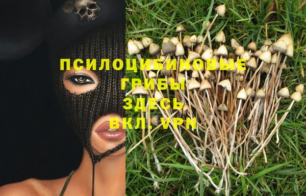 марки lsd Заводоуковск