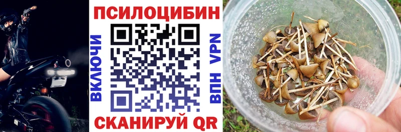 Псилоцибиновые грибы Magic Shrooms  Дербент